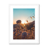 Summer Solstice Framed & Mounted Print