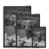 Elephant Framed Canvas