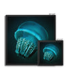 Jellyfish Framed Canvas