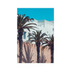Moroccan Palms Fine Art Print