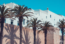  Moroccan Palms