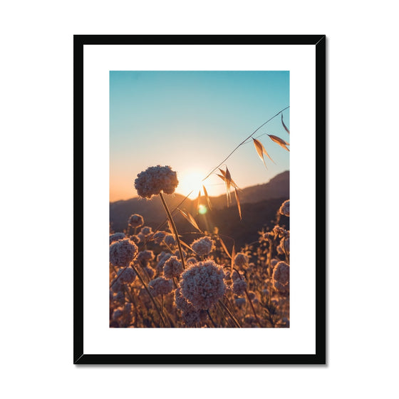 Summer Solstice Framed & Mounted Print