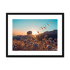 Summer Solstice Framed & Mounted Print