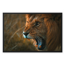  The Lion's Roar  Framed Canvas