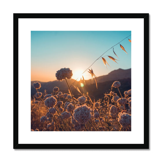 Summer Solstice Framed & Mounted Print