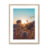 Summer Solstice Framed & Mounted Print