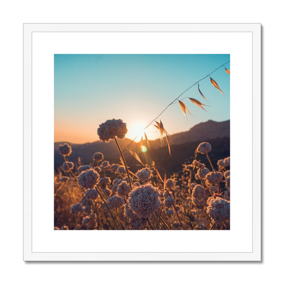 Summer Solstice Framed & Mounted Print