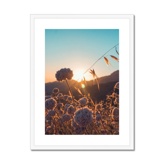 Summer Solstice Framed & Mounted Print