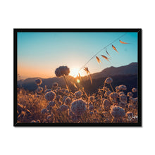  Summer Solstice Framed Print