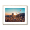 Summer Solstice Framed & Mounted Print