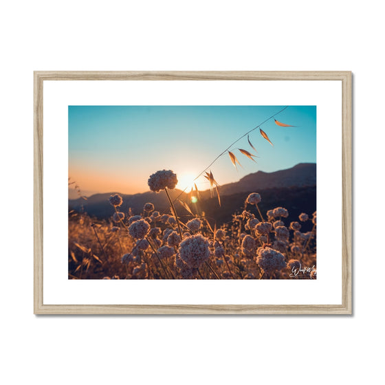 Summer Solstice Framed & Mounted Print