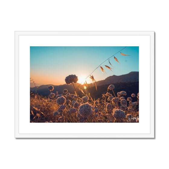 Summer Solstice Framed & Mounted Print