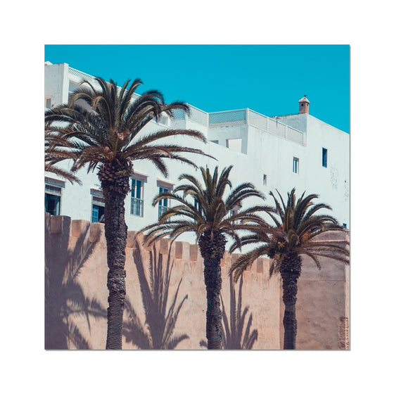 Moroccan Palms  Fine Art Print