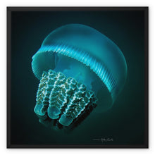  Jellyfish  Framed Canvas