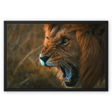  The Lion's Rawr  Framed Canvas