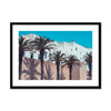 Moroccan Palms  Framed & Mounted Print