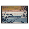 Hummingbird Framed Canvas