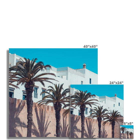 Moroccan Palms  Fine Art Print