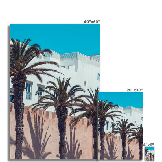 Moroccan Palms  Fine Art Print