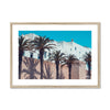 Moroccan Palms  Framed & Mounted Print